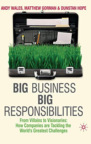 Big Business, Big Responsibilities: From Villains to Visionaries: How Companies  [Hardcover]