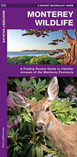 Monterey Wildlife: A Folding Pocket Guide to Familiar Animals of the Monterey Pe [Pamphlet]