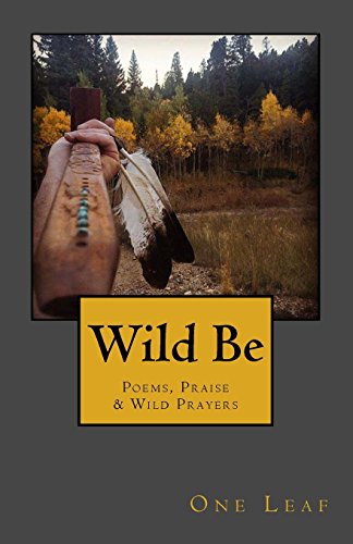 Wild Be Poems, Praise & Wild Prayers [Paperback]