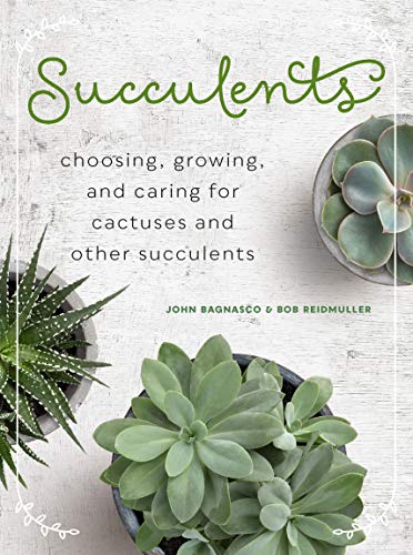 Succulents: Choosing, Growing, and Caring for Cactuses and other Succulents [Hardcover]