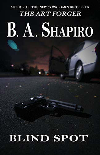 Blind Spot [Paperback]