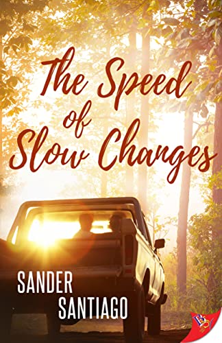 The Speed of Slow Changes [Paperback]