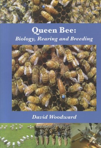 Queen Bee Biology, Rearing And Breeding [Paperback]