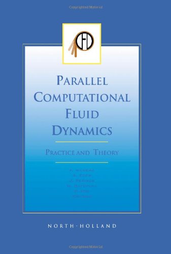 Parallel Computational Fluid Dynamics 2001, Practice and Theory [Hardcover]