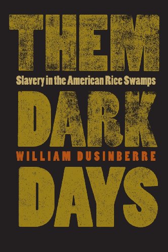 Them Dark Days Slavery in the American Rice Samps [Paperback]