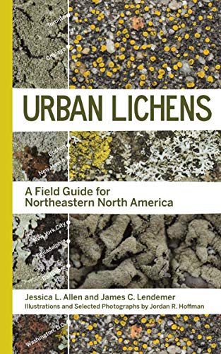 Urban Lichens: A Field Guide for Northeastern North America [Paperback]