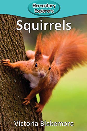 Squirrels [Paperback]