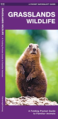 Grasslands Wildlife: An Introduction to Familiar Species Found in Prairie Grassl [Pamphlet]