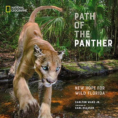 Path of the Panther: New Hope for Wild Florida [Hardcover]