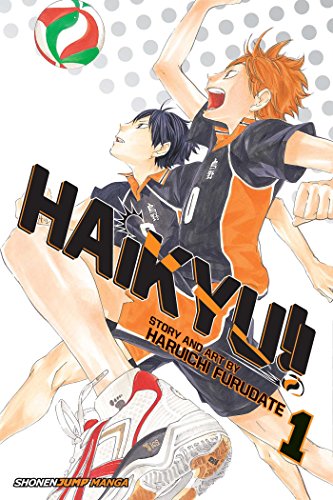 Haikyu!!, Vol. 1 [Paperback]