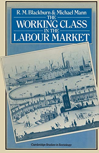 The Working Class in the Labour Market [Paperback]