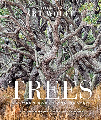 Trees (Gift Edition): Between Earth and Heaven [Hardcover]