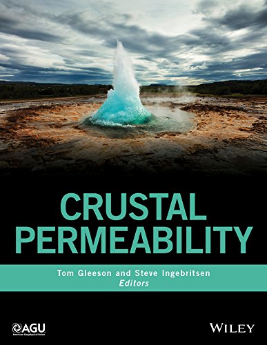 Crustal Permeability [Hardcover]