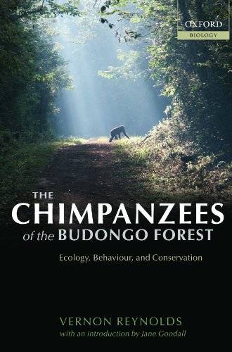 The Chimpanzees of the Budongo Forest Ecology, Behaviour, and Conservation [Paperback]