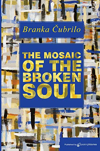 The Mosaic Of The Broken Soul [Paperback]