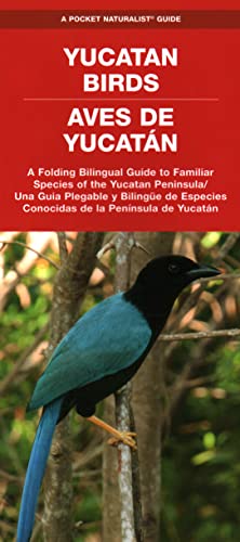 Yucatan Birds/Aves de Yucatan: A Folding Pocket Guide to Familiar Species/Una Gu [Pamphlet]