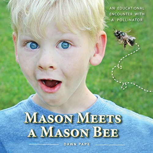 Mason Meets A Mason Bee An Educational Encounter With A Pollinator [Paperback]