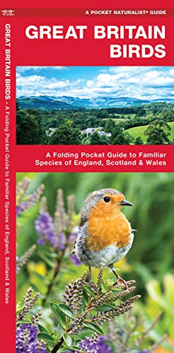 Great Britain Birds: A Folding Pocket Guide to Familiar Species of England, Scot [Pamphlet]