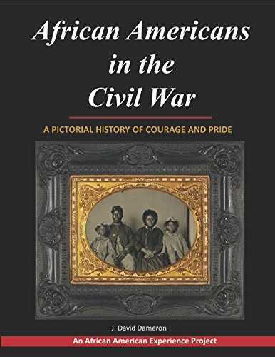 African Americans In The Civil War [Paperback]