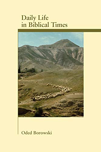 Daily Life in Biblical Times [Paperback]