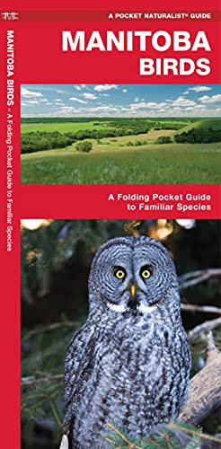 Manitoba Birds: An Introduction to Familiar Species [Pamphlet]