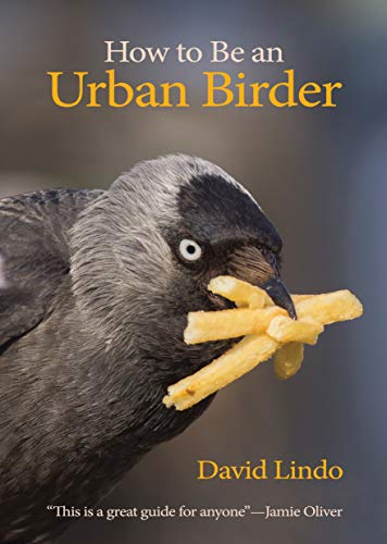 How to Be an Urban Birder [Paperback]