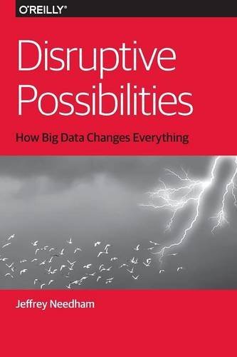 Disruptive Possibilities How Big Data Changes Everything [Paperback]