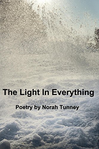 The Light In Everything [Paperback]