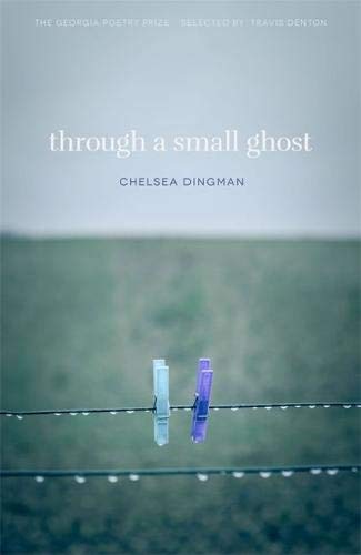 Through a Small Ghost: Poems [Paperback]