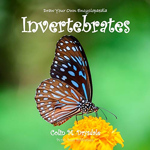 Dra Your On Encyclopaedia Invertebrates [Paperback]