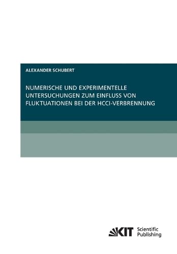 Numerische Und Experimentelle Untersuchungen Zum Einfluss Von Fluktuationen Bei