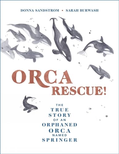 Orca Rescue!: The True Story of an Orphaned Orca Named Springer [Hardcover]