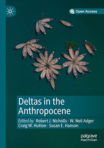 Deltas in the Anthropocene [Paperback]