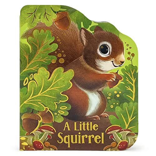 Little Squirrel                          [CLO