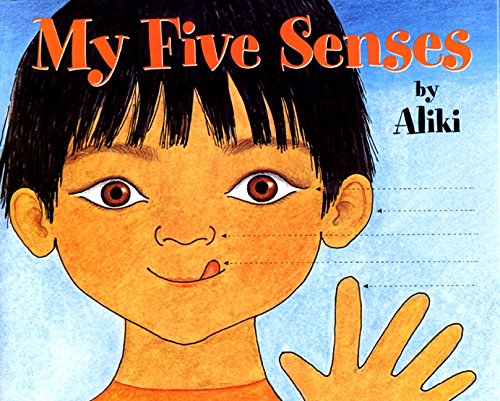 My Five Senses Big Book [Paperback]