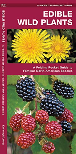 Edible Wild Plants: A Folding Pocket Guide to Familiar North American Species [Pamphlet]