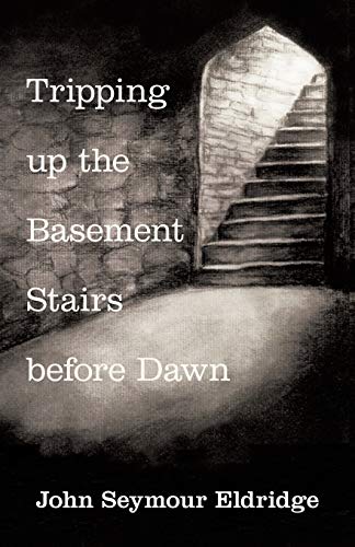 Tripping Up The Basement Stairs Before Dan An Aakening [Paperback]