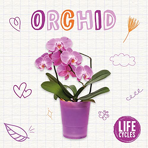 Orchid [Paperback]