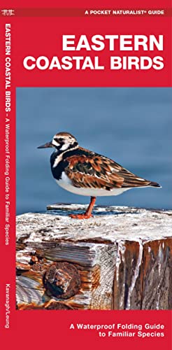 Eastern Coastal Birds: A Waterproof Folding Guide to Familiar Species [Pamphlet]