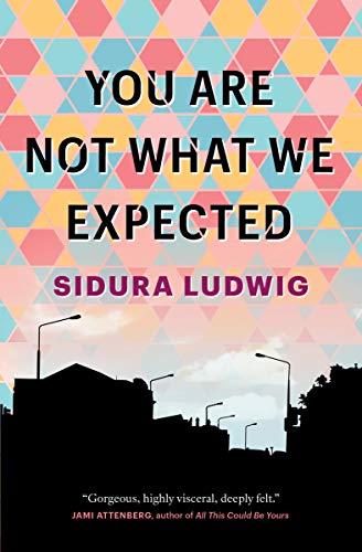 You Are Not What We Expected [Paperback]