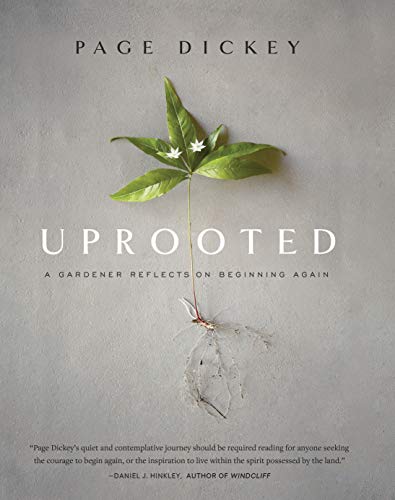 Uprooted                                 [CLO