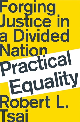 Practical Equality: Forging Justice in a Divided Nation [Hardcover]