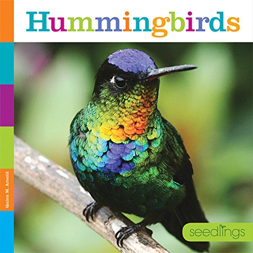 Hummingbirds [Paperback]