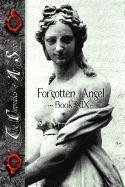 Forgotten Angel [Paperback]