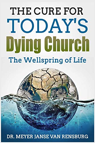 Cure for Today's Dying Church  The Wellspring of Life [Paperback]