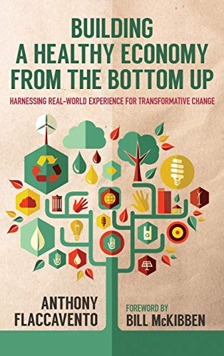 Building A Healthy Economy From The Bottom Up Harnessing Real-World Experience  [Hardcover]