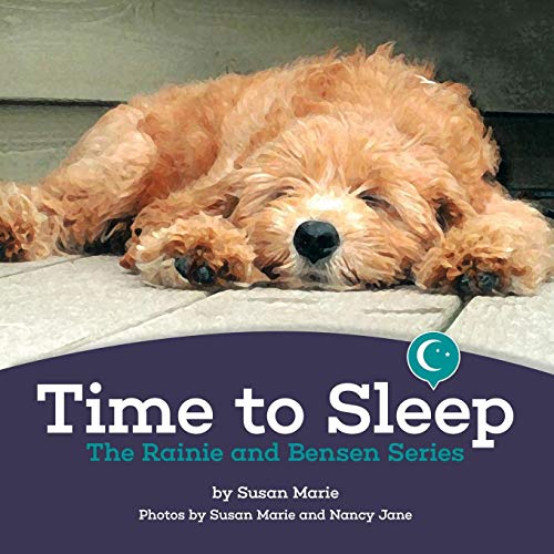 Time To Sleep [Paperback]