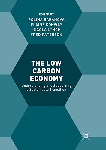 The Low Carbon Economy: Understanding and Supporting a Sustainable Transition [Paperback]