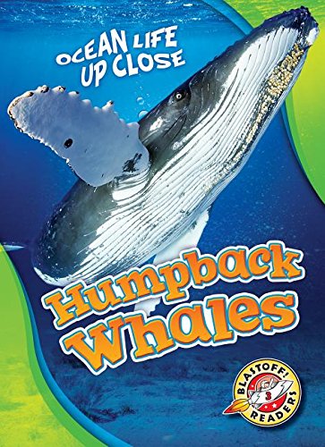 Humpback Whales (ocean Life Up Close: Blastoff Readers, Level 3) [Paperback]