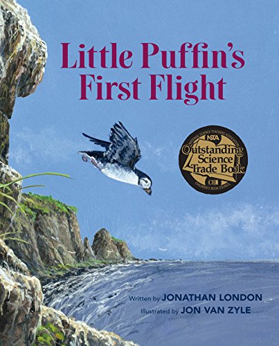 Little Puffin's First Flight [Paperback]